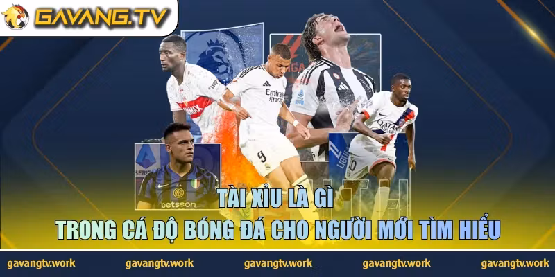 Tài Xỉu Là Gì Trong Cá Độ Bóng Đá Cho Người Mới Tìm Hiểu